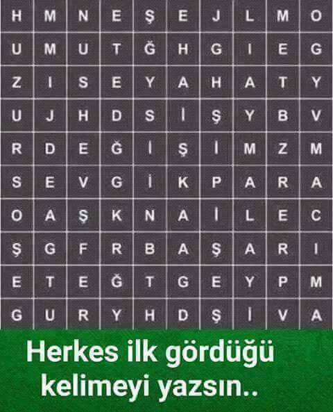 17554042_10209269358352718_7775126144009066524_n[1]