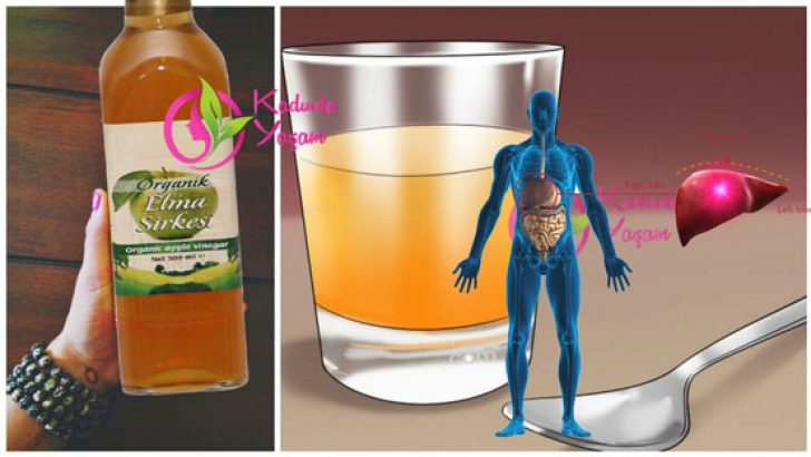 60-GuNDE-ELMA-SiRKESi-MUCiZESi-728x410[1]