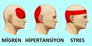 baş-ağrısı-350x175[1]