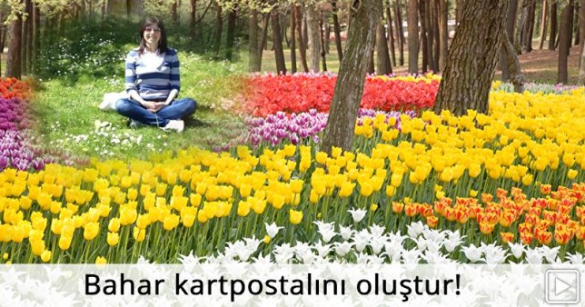 fc158d8202e9840c491ebb5a002198ef[1]