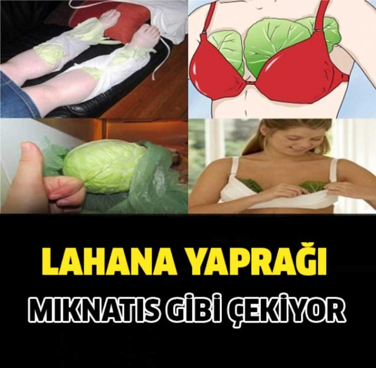 İşte-Lahana-Yaprağın-Faydaları-1-768x751[1]