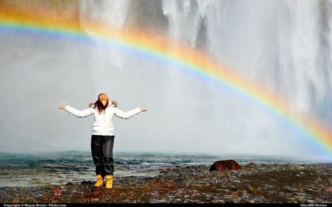 ikigai-mizi-bulma-yolculugu-nedir-e1485198241796[1]