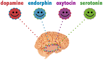 mutluluk-hormonlari[1]