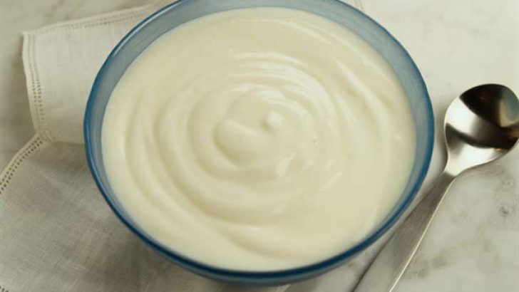 yagsizyogurt-728x410[1]