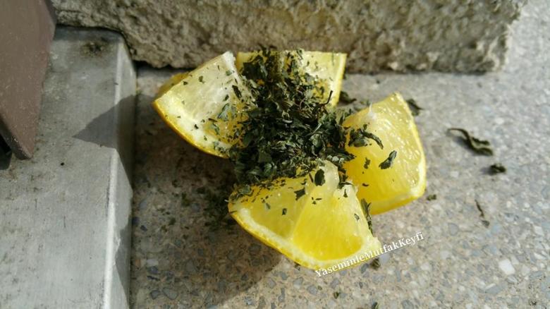 11209745_900076023368180_5024858530478858721_n1[1]