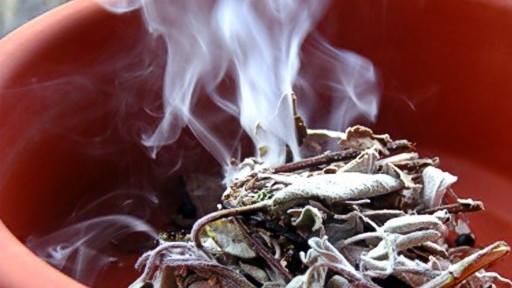 1604400_474697689298659_2127676597815542870_n[1]