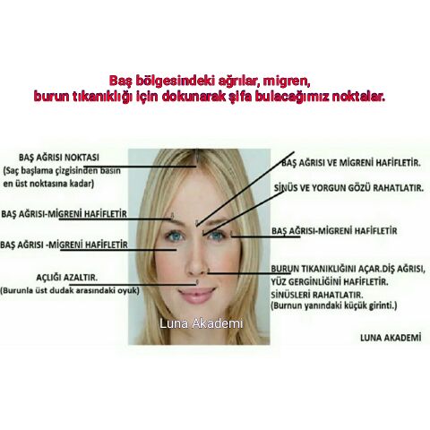 17021646_624901357706157_1040367683047540468_n[1]