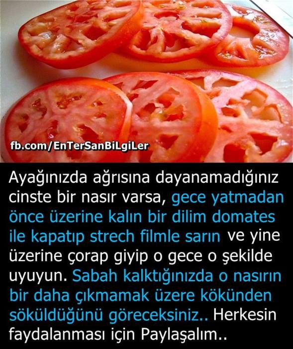 17156063_1314477795307209_2118780372546620189_n[1]