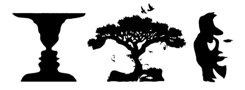 17156251_736267549865761_4203541179228662890_n[1]