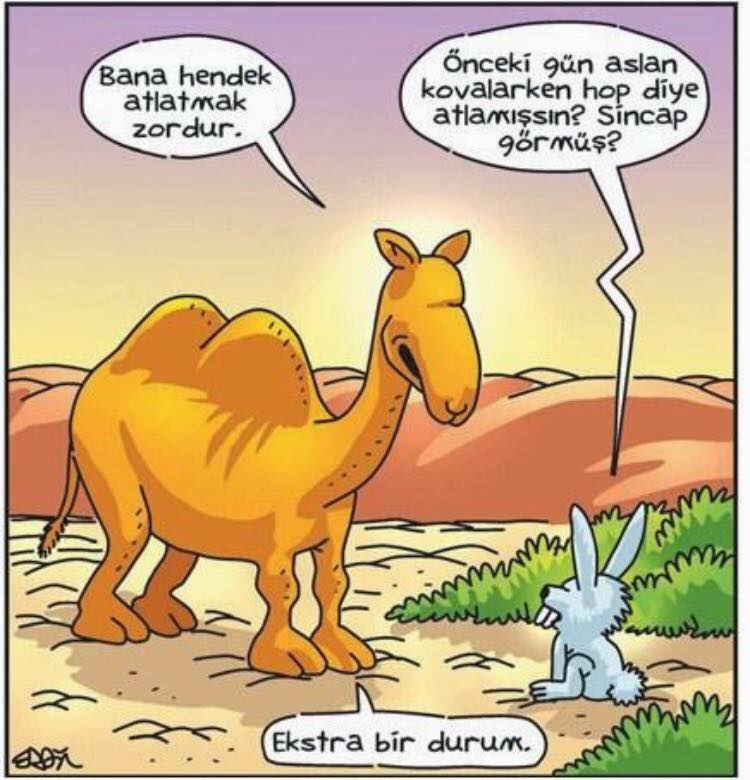 17759767_10203261533414702_8809295935896241157_n[1]