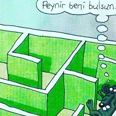 17862706_1365931376826373_2592232251728854020_n[1]