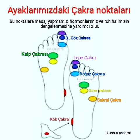 17883821_648749521988007_8554882081352646811_n[1]