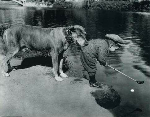 17903347_1554828594558013_3266129430709380721_n[1]