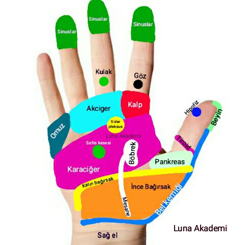 18033010_651035968426029_7327161647205654669_n[1]