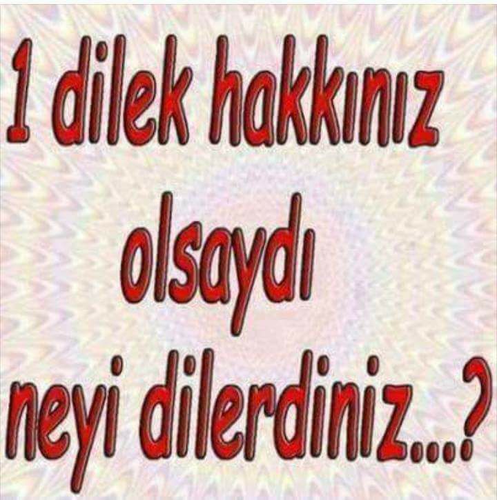 18057104_10212946456002525_5166504165985894859_n[1]