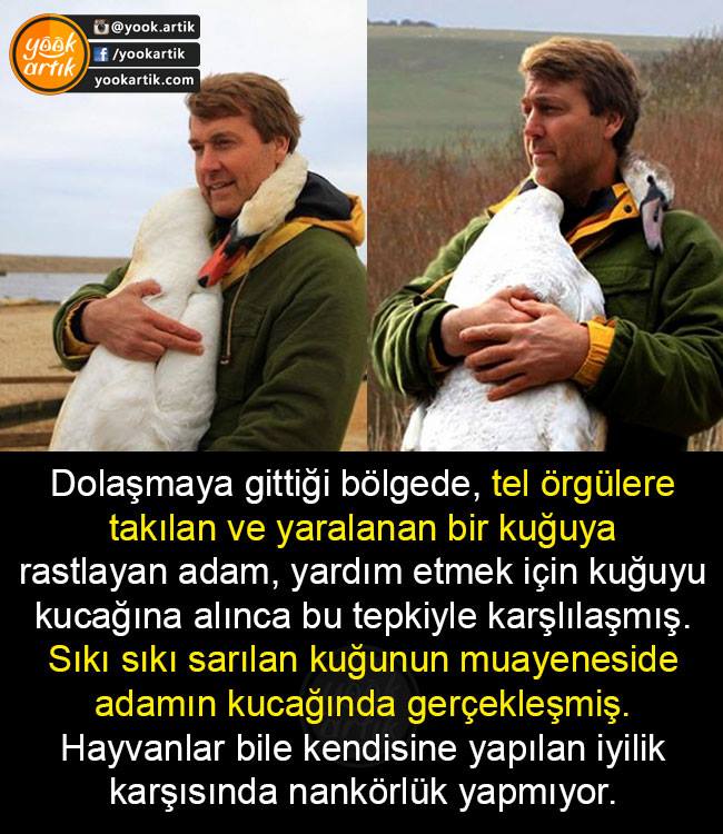 18057756_951532024997807_8806374563592316047_n[2]