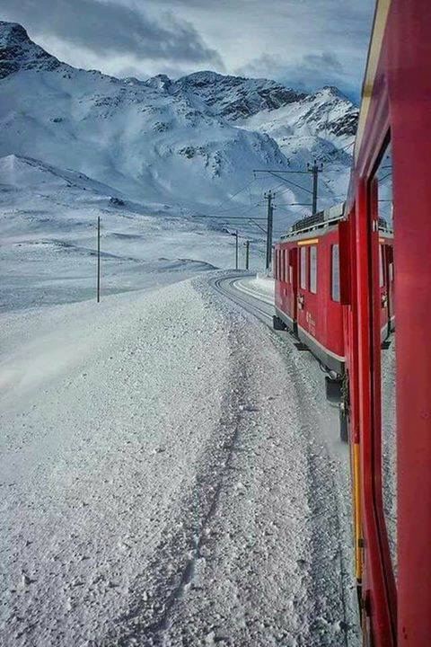 18157634_1758799977764549_9172705886475009028_n[1]