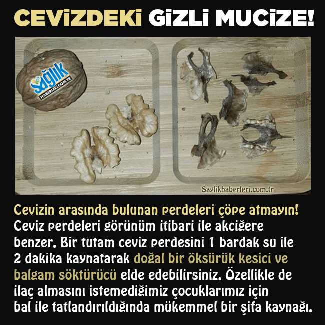 18198545_1934721910081676_8243012556494312704_n[1]