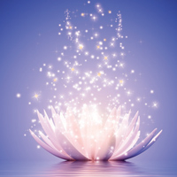 5dfb5e72_100_EVIM_98a3[1]