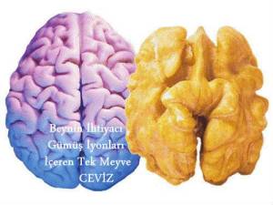 Beynin-İhtiyacı-Gümüş-İyonları-İçeren-Meyve[1]