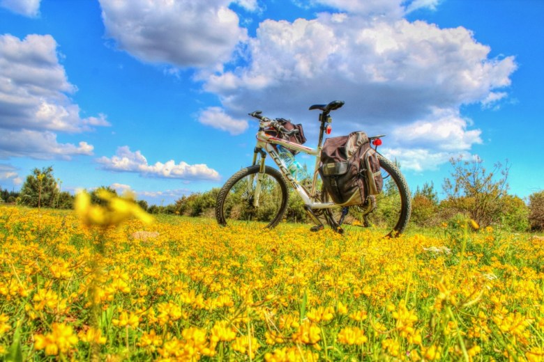 IMG_5896_tonemapped (1024x683)[1]