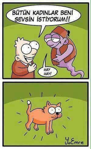 18268471_10154885491609262_8055063679600638502_n[1]