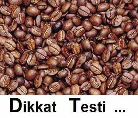 18342273_214274705742568_393903589219839299_n[1]