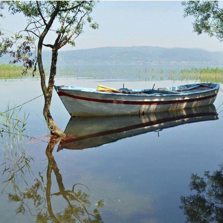 18447541_425512374483866_1563953640581950958_n[2]