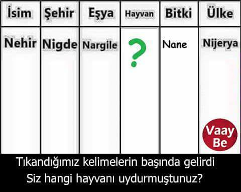 18519714_10213356438371719_1336244988173454387_n[1]