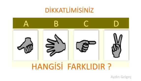 18556391_1861266627423309_7675122081710537806_n[1]