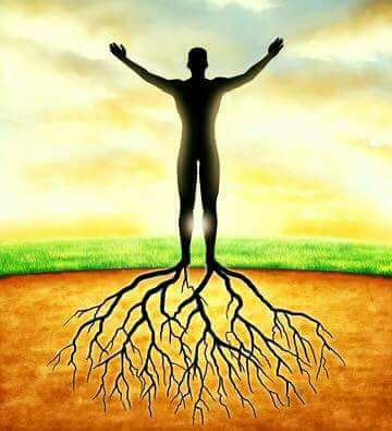 18671312_10154957027354262_1882009635030134840_n[1]