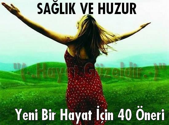 945386_520945787967786_2120748923_n[1]