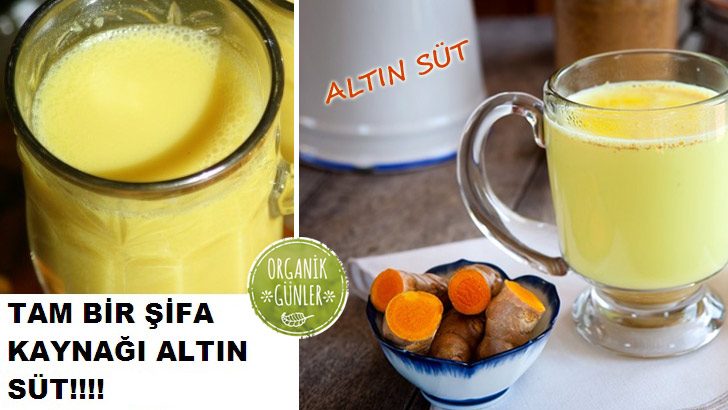 altin-sut-728x410[1]