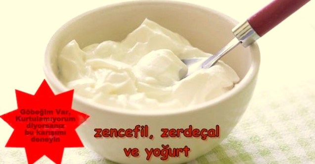 Göbeğim-Var-Kurtulamıyorum-diyorsanız-bu-karışımı-deneyin[1]