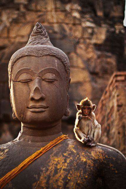 18839244_10210850815120427_7802521593946298751_n[1]