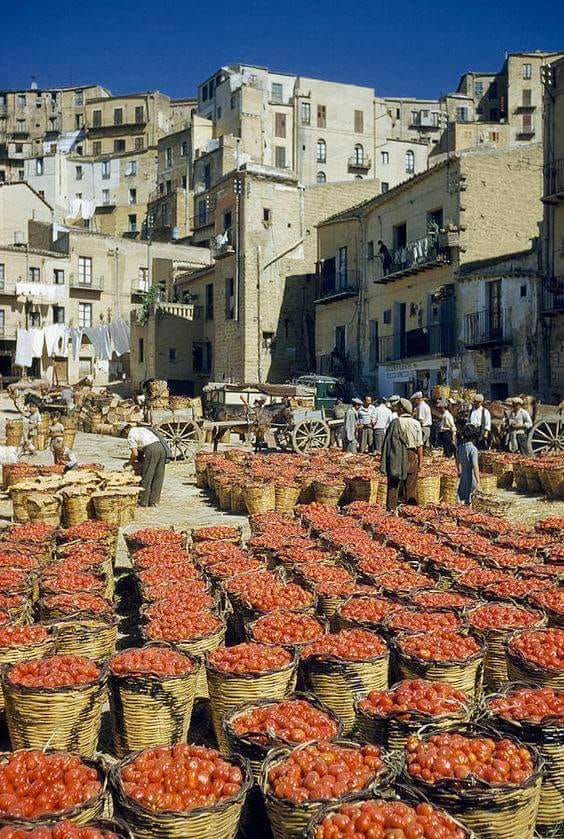 19396936_1952595374981462_6549190083075423153_n