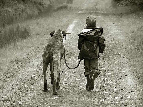 inanilmaz-yasam-hikayeleri-rochom-p-ngieng-john-ssebunya-1476342