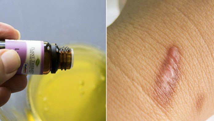 vucudunuzdaki-696x394