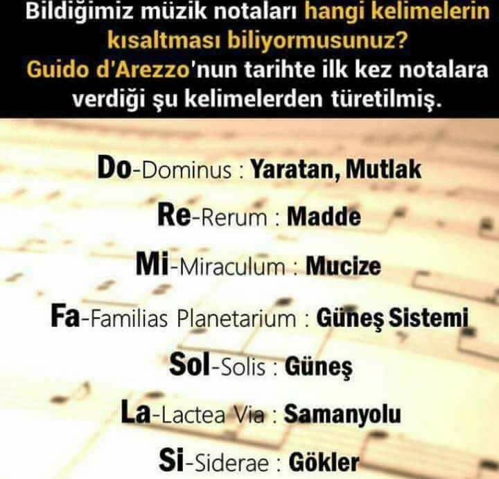 19554899_10155498964083866_8835151550351487435_n[1]