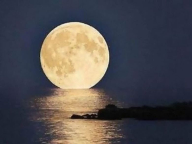 IMG_9185-1030x771[1]