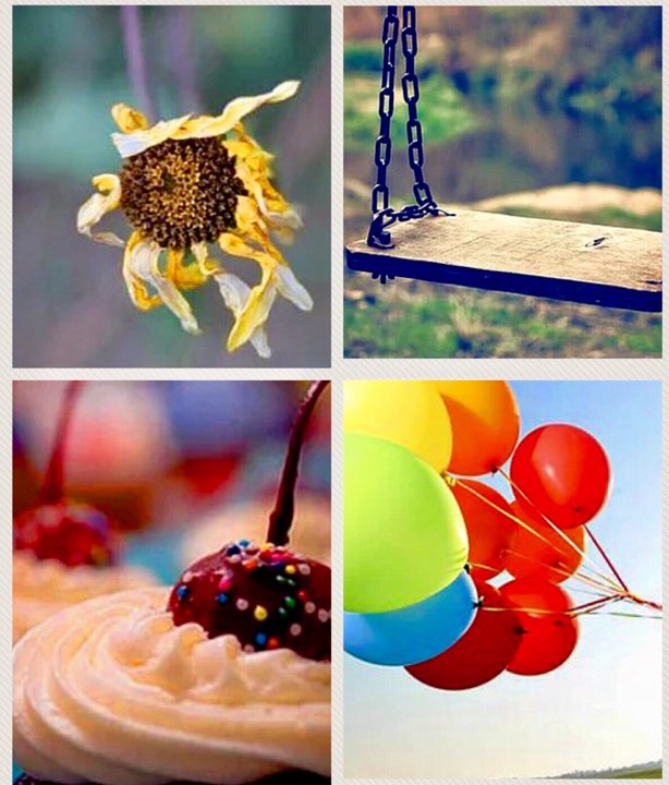 20668855_697050867155367_1985768228_n[1]