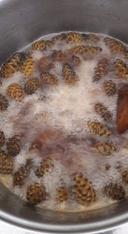 21078468_1932981050277626_7634117818425243886_n[1]