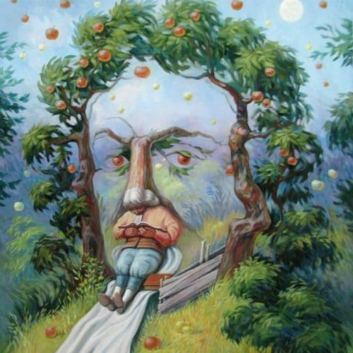 ilk-olarak-ne-goruyorsunuz[1]