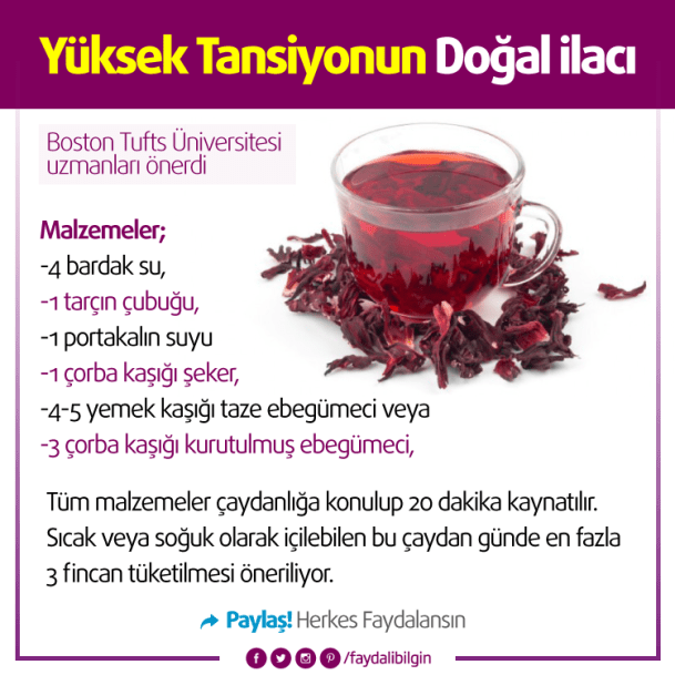 21617623_757709214421741_2012926364797291862_n[1]