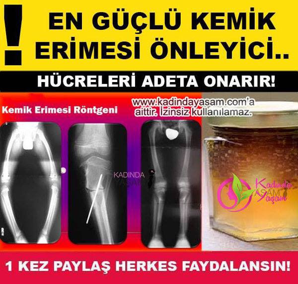 21740318_1812463542377669_7716353312551000097_n[1]