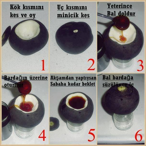 10494829_10152506223898248_3629221686115355853_n[1]