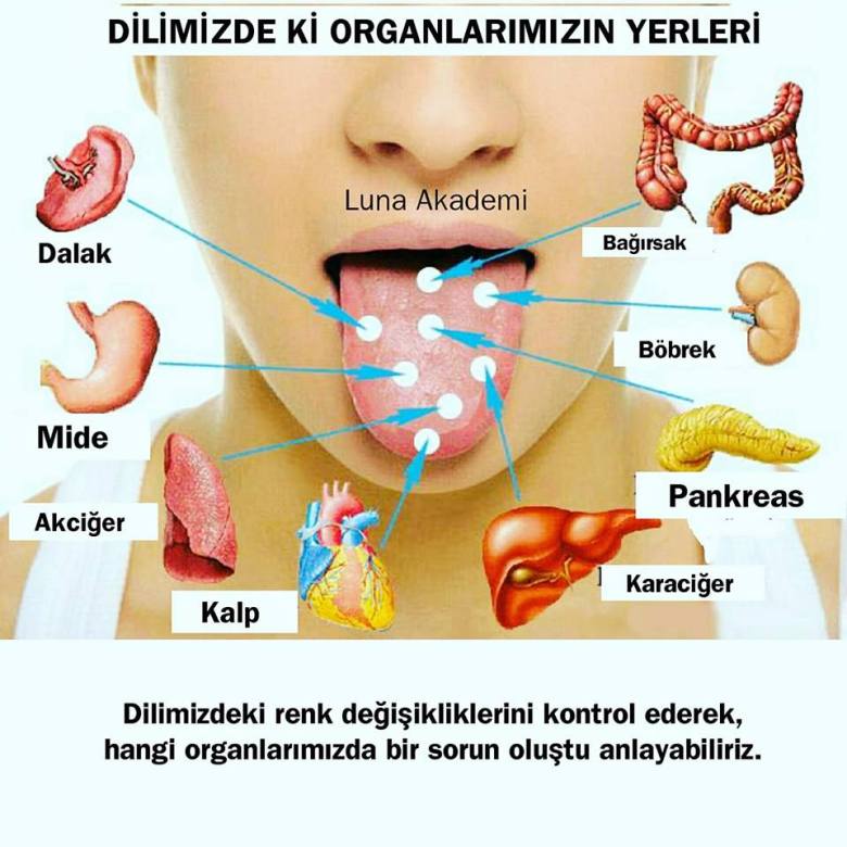 21765086_727217424141216_361679657810370824_n[1]