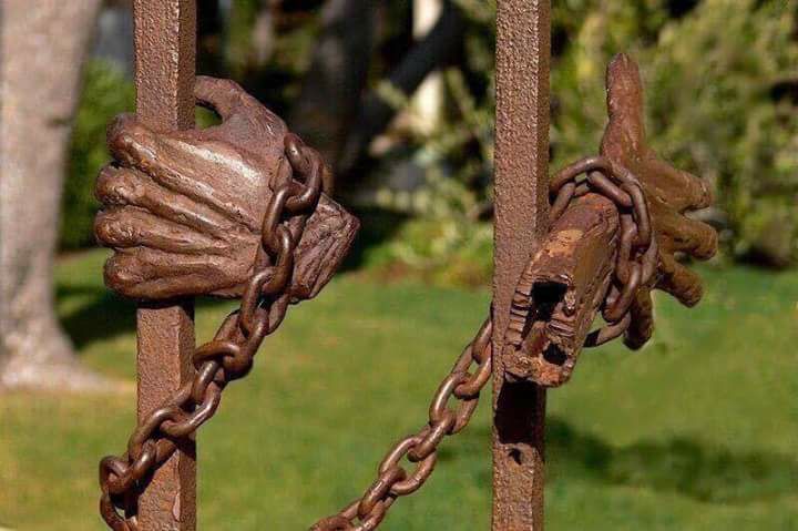 22049883_1520292728065691_7172458120236906054_n[1]