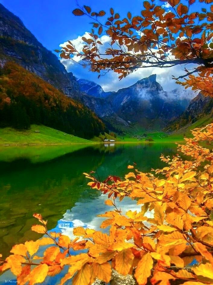 22448543_1329012423874925_8138218961273317984_n[1]