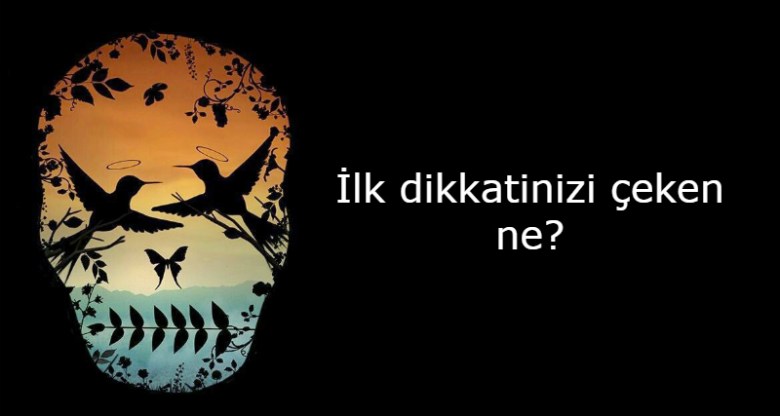 ilk-dikkatinizi-ceken-ne-kurukafa[1]
